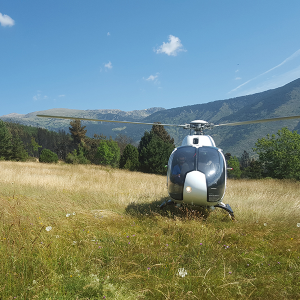Helitaxi